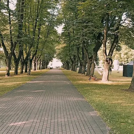 V311 Riga