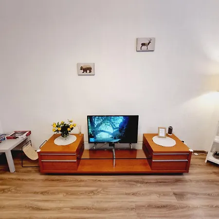 V311 Apartment