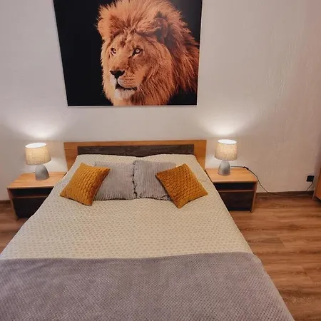 Apartment V311